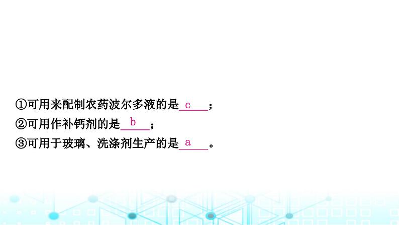 中考化学复习第十一单元盐化肥课件04