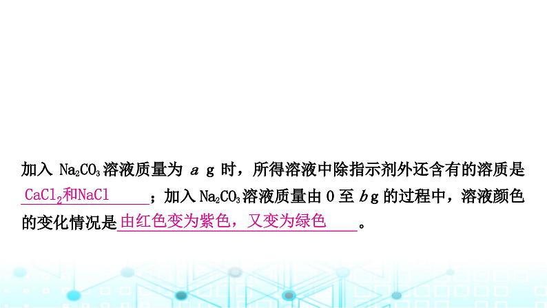 中考化学复习第十一单元盐化肥课件06