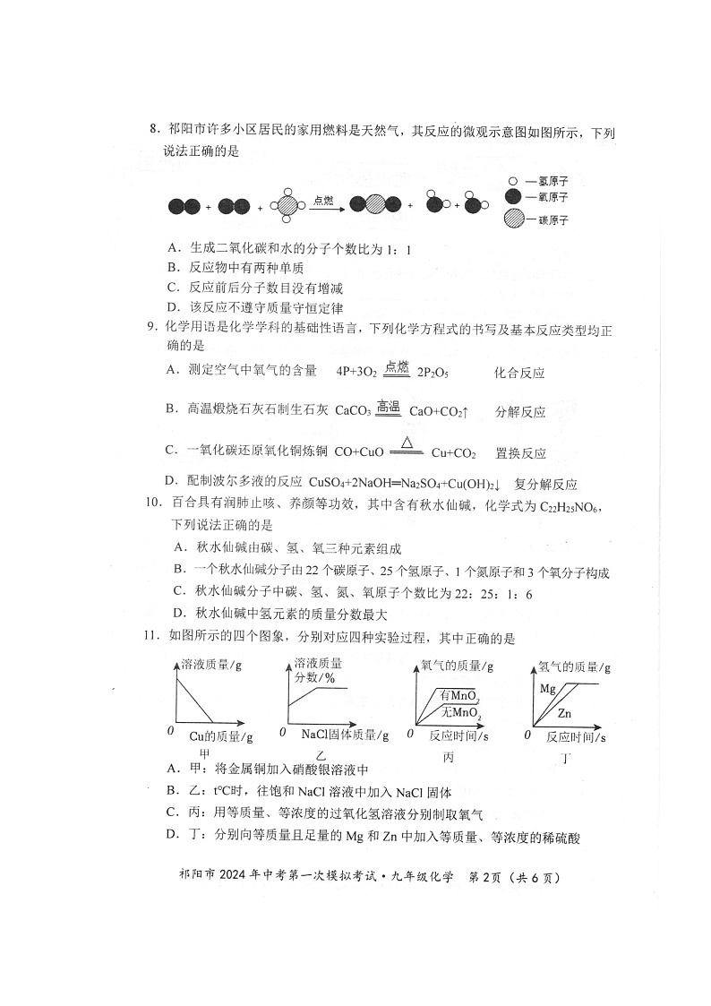 2024年湖南省祁阳市中考第一次模拟考试化学试题卷第2页
