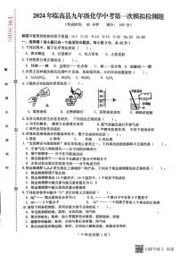 2024年海南省临高县中考一模化学试题