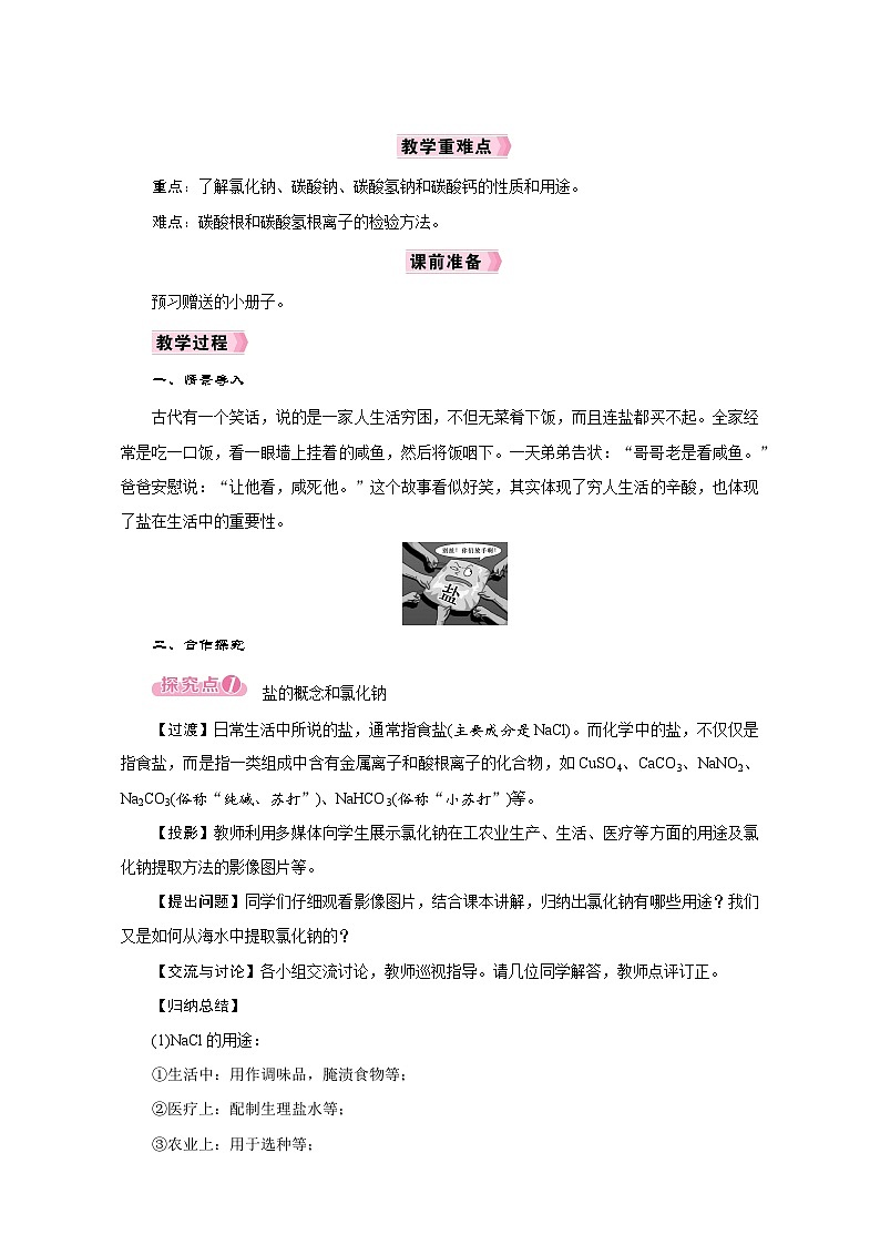 人教版九年级化学下册同步教学设计第十一单元《盐 化肥》03