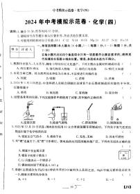 江西省赣州市大余县部分学校联考2023-2024学年九年级下学期5月月考化学试题