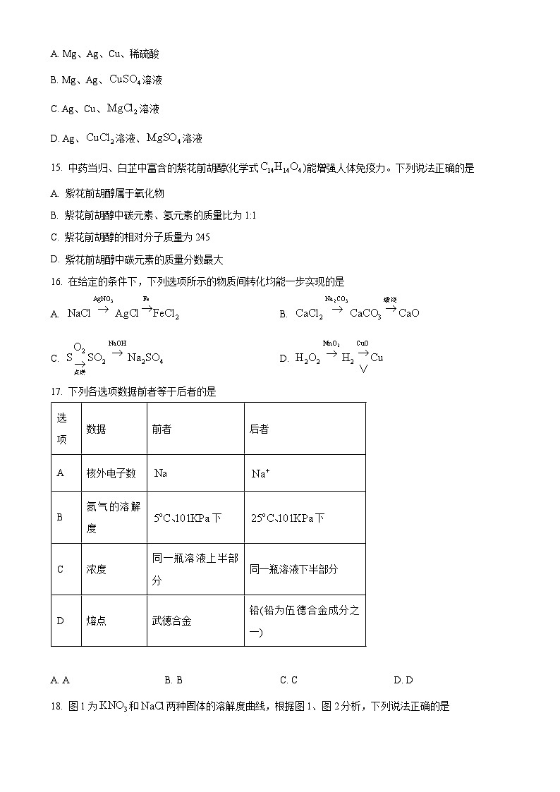 2024年广西桂林中学九年级下学期一模化学试题（原卷版）第3页