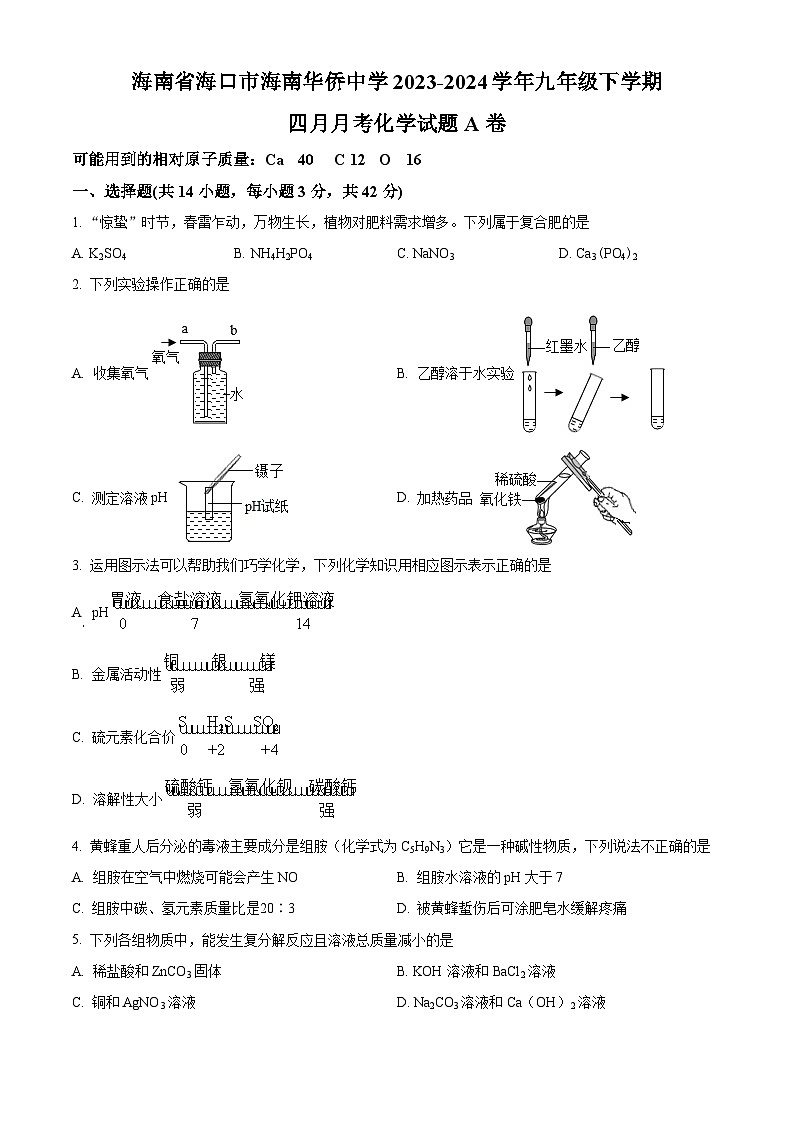 海南省海口市海南华侨中学2023-2024学年九年级下学期四月月考化学试题A卷（原卷版+解析版）01