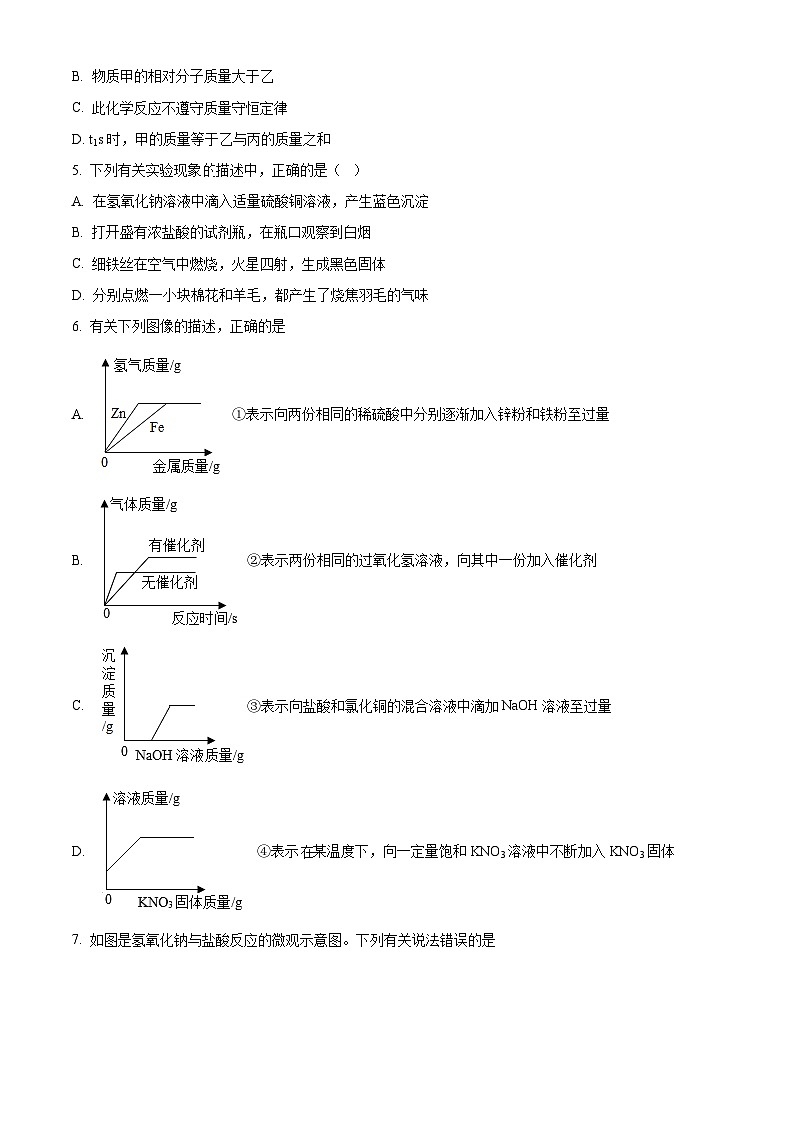 2024年江苏省南师附中宿迁分校化学中考模拟练习1（原卷版）第2页