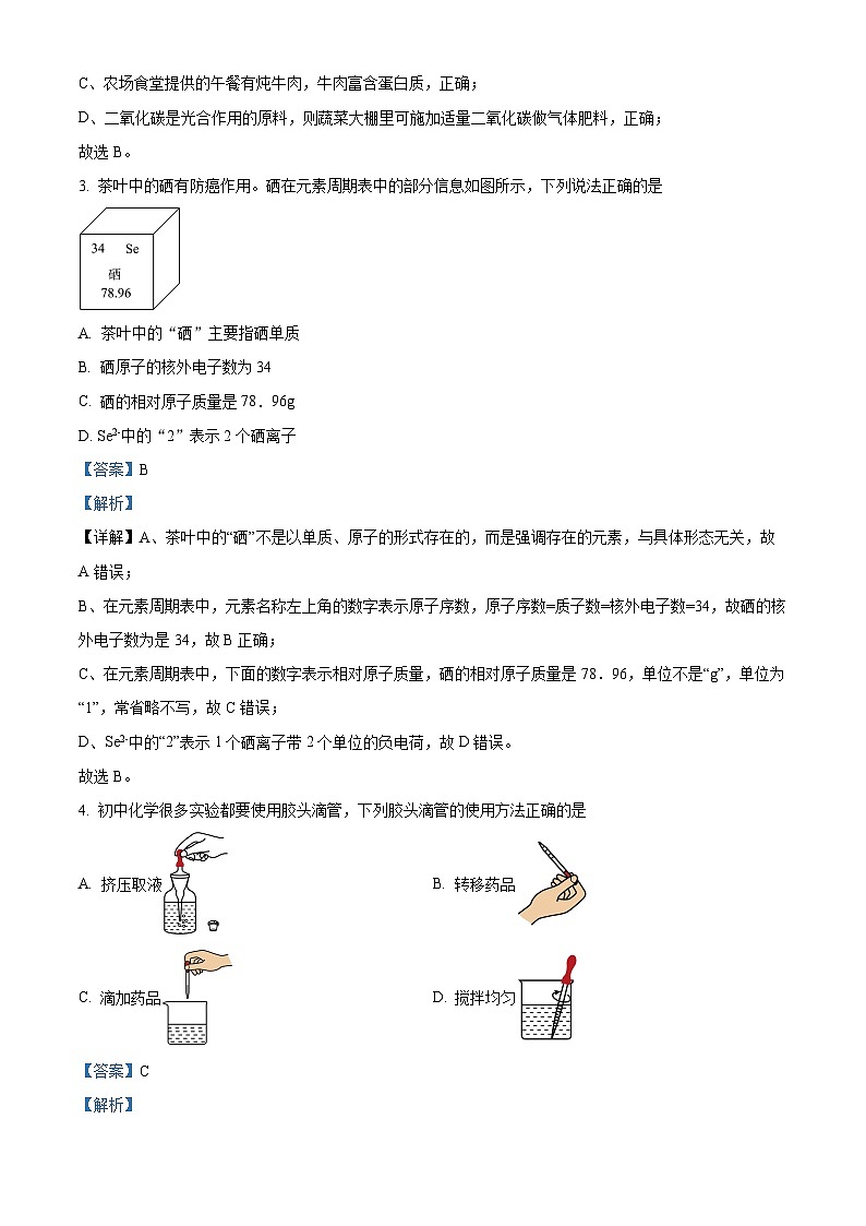 2024年安徽省六安市金安区六安皋城中学中考一模化学试题（原卷版+解析版）02