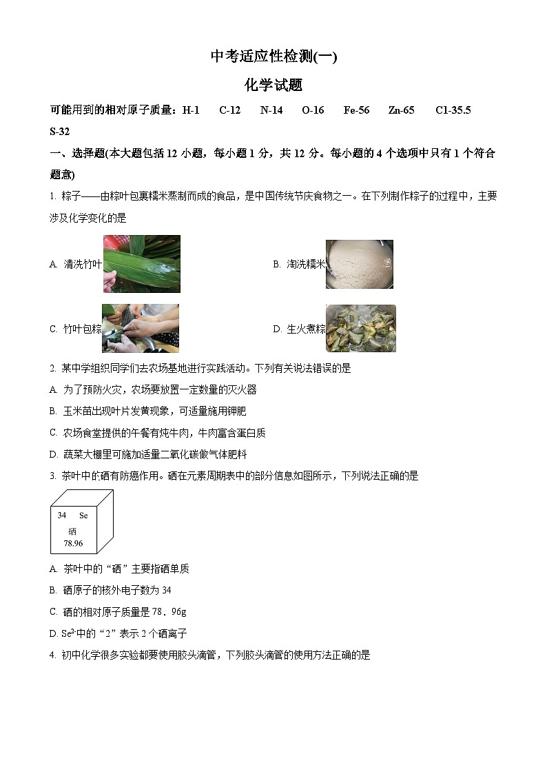 2024年安徽省六安市金安区六安皋城中学中考一模化学试题（原卷版+解析版）01