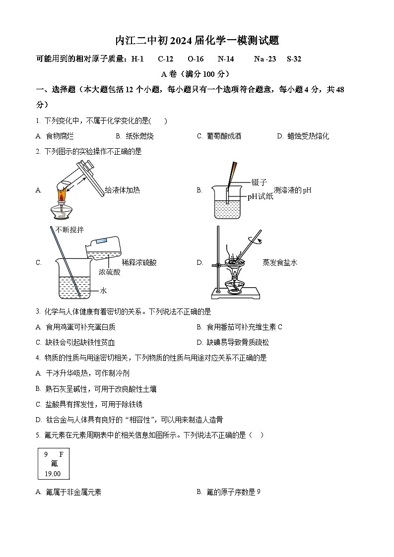 2024年四川省内江市第二中学中考一模化学试题（原卷版）第1页
