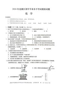2024年广东省汕头市龙湖区中考一模化学试题