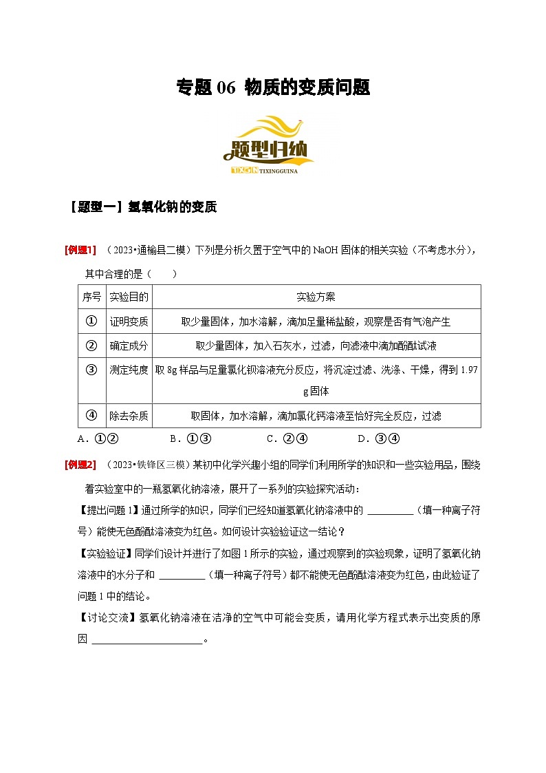 2024年中考化学二轮专项复习核心考点专题-06 物质的变质问题-(原卷版+解析版)01