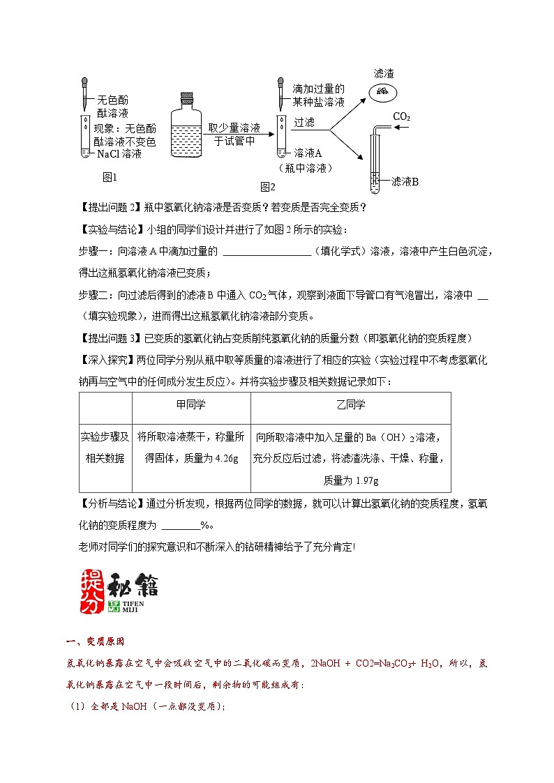 2024年中考化学二轮专项复习核心考点专题-06 物质的变质问题-(原卷版+解析版)02