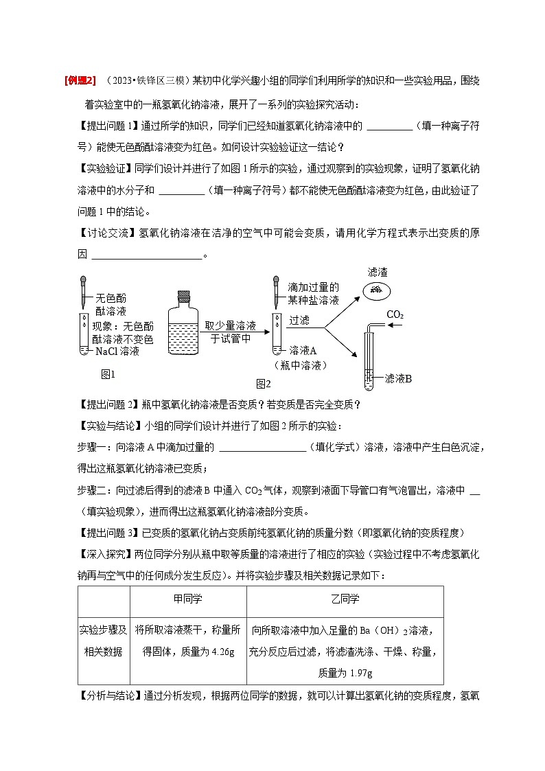 2024年中考化学二轮专项复习核心考点专题-06 物质的变质问题-(原卷版+解析版)02