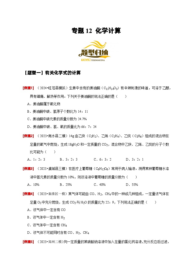 2024年中考化学二轮专项复习核心考点专题-12 化学计算-(原卷版+解析版)01