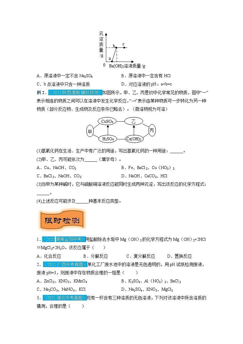 重难点12   复分解反应专题突破（原卷版）（苏州专版）第2页