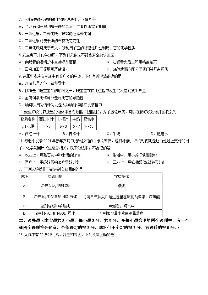 2024年湖南省长沙市青竹湖湘一外国语学校第一次中考模拟考试化学试题(无答案)02