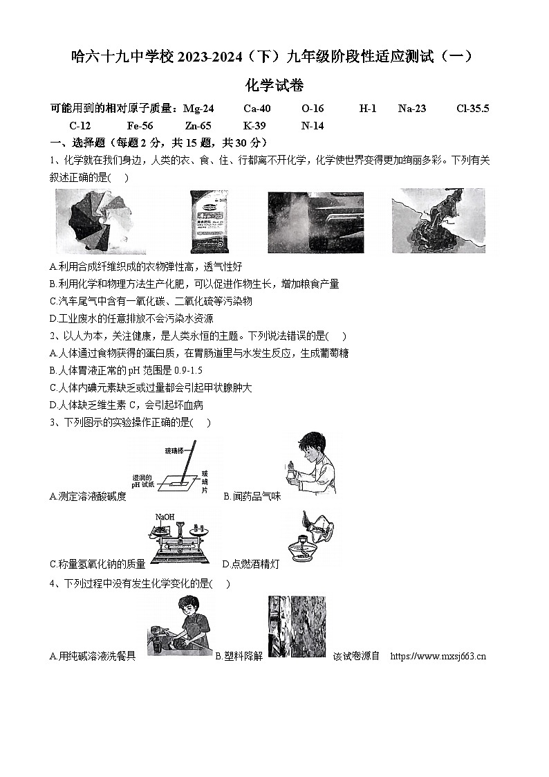 2024年黑龙江省哈尔滨市第六十九中学九年级阶段性适应性测试化学试卷（一）01