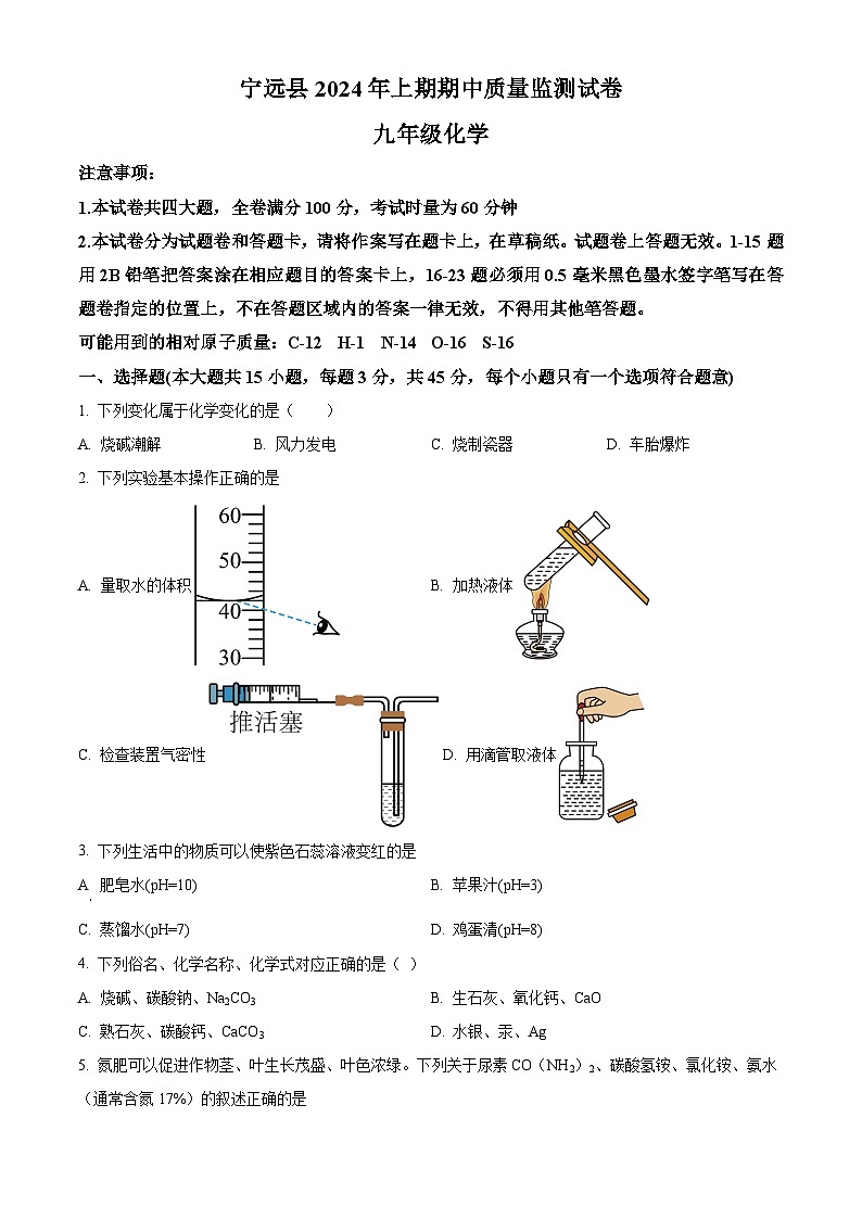 湖南省永州市宁远县2023-2024学年九年级下学期期中考试化学试题（原卷版+解析版）01