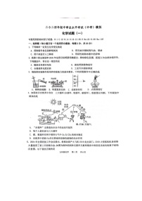 2024年山东省菏泽市单县八校中考一模测试化学试题