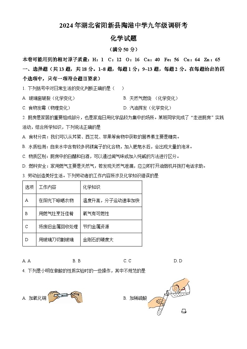 2024年湖北省阳新县陶港镇初级中学九年级调研化学试题（原卷版）第1页
