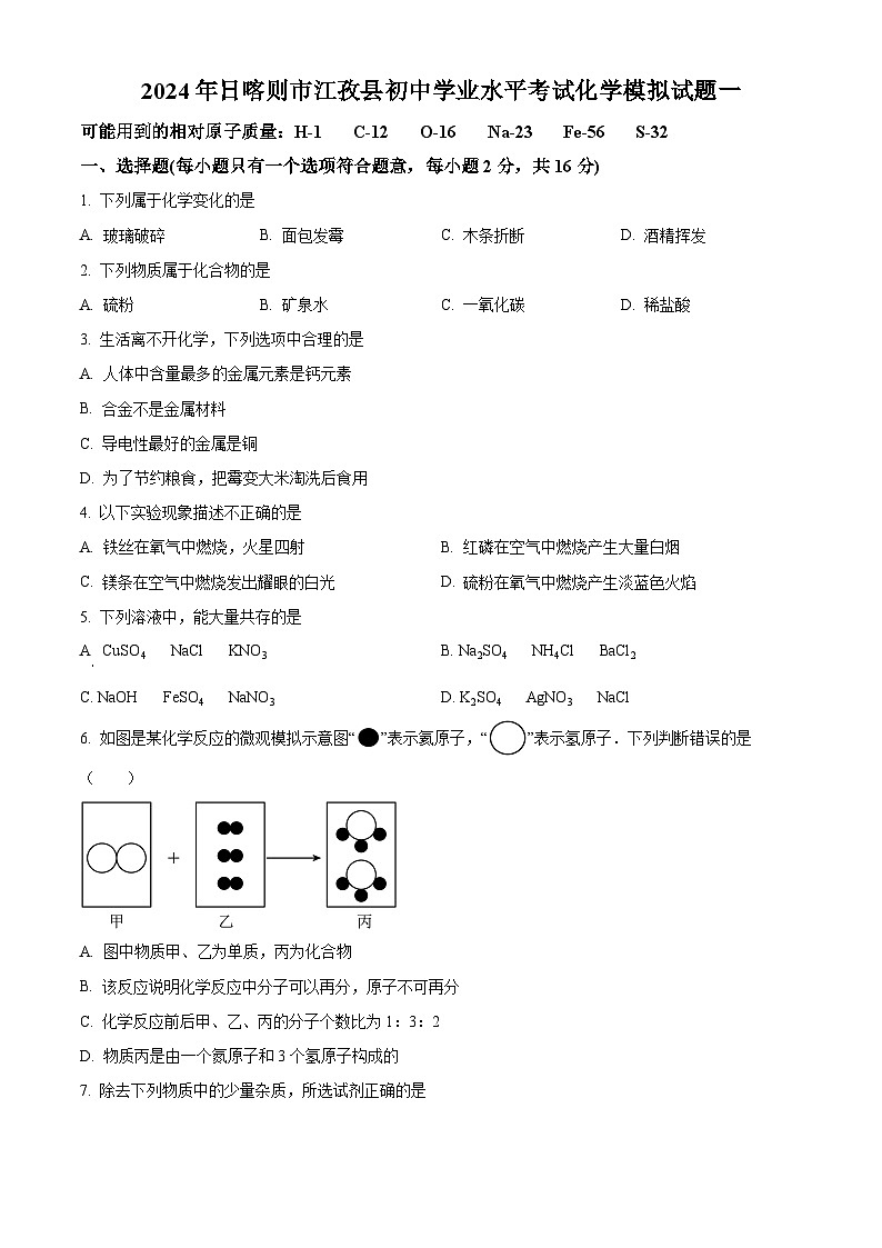 2024年西藏自治区日喀则市江孜县中考一模化学试题（原卷版+解析版）01