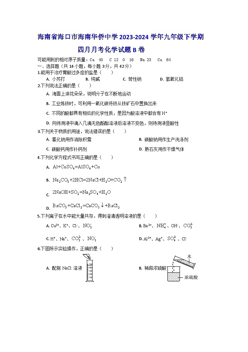 116，海南省海口市海南华侨中学2023-2024学年九年级下学期四月月考化学试题B卷01