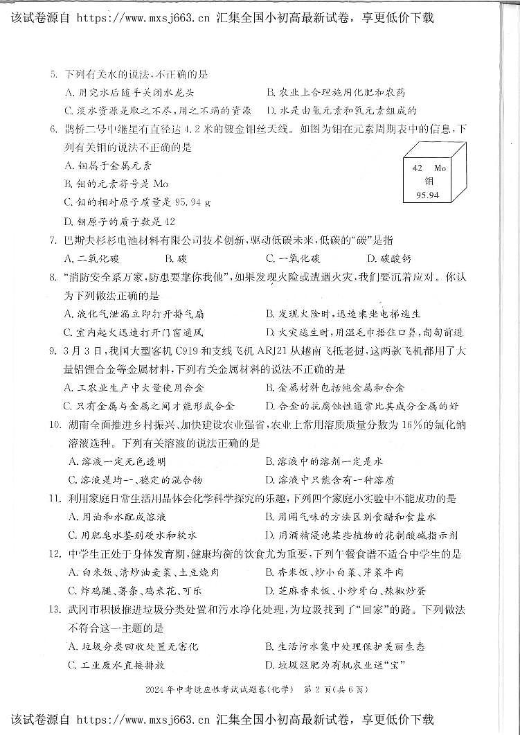 123，2024年湖南省邵阳市中考一模化学试题02