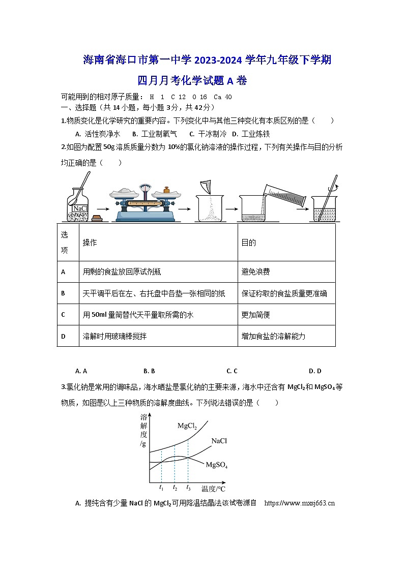 41，海南省海口市第一中学2023-2024学年九年级下学期四月月考化学试题A卷第1页