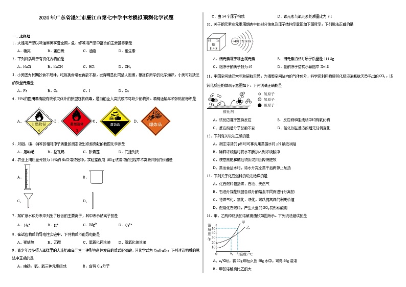 2024年广东省湛江市廉江市第七中学中考模拟预测化学试题第1页