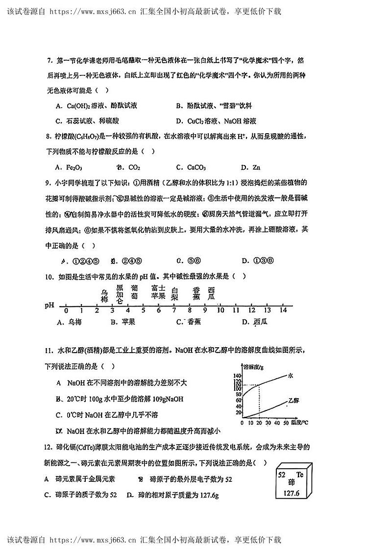 63，2024年广东省汕头市潮阳区金灶镇中考一模化学试题第2页