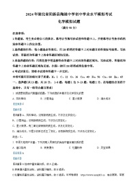 118，2024年湖北省黄石市阳新县陶港镇初级中学中考模拟化学试题