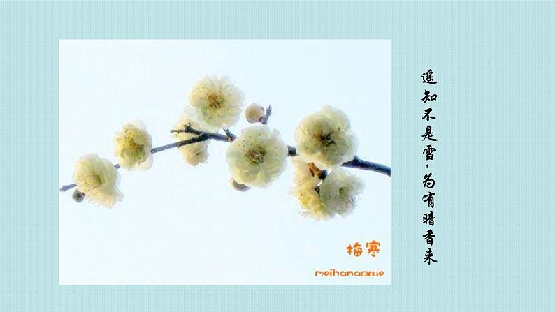 (教学课件)3.1 分子和原子(人教版化学九年级)第2页