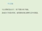 初中化学人教版九上3.1.1 物质由微观粒子构成课件