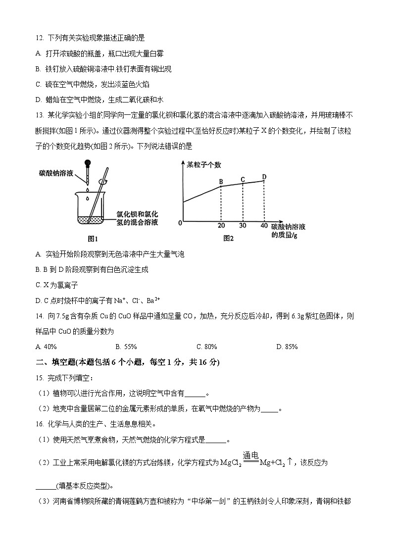 2024年河南省周口市项城市第一初级中学中考第六次模拟考试化学试卷（原卷版）第3页