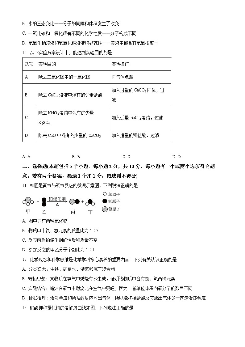 2024年山东省烟台市招远市中考一模化学试题（原卷版+解析版）03