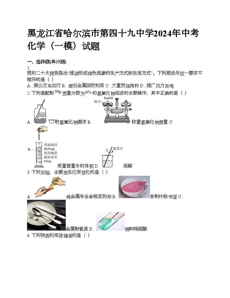 黑龙江省哈尔滨市第四十九中学2024年中考化学（一模）试题第1页