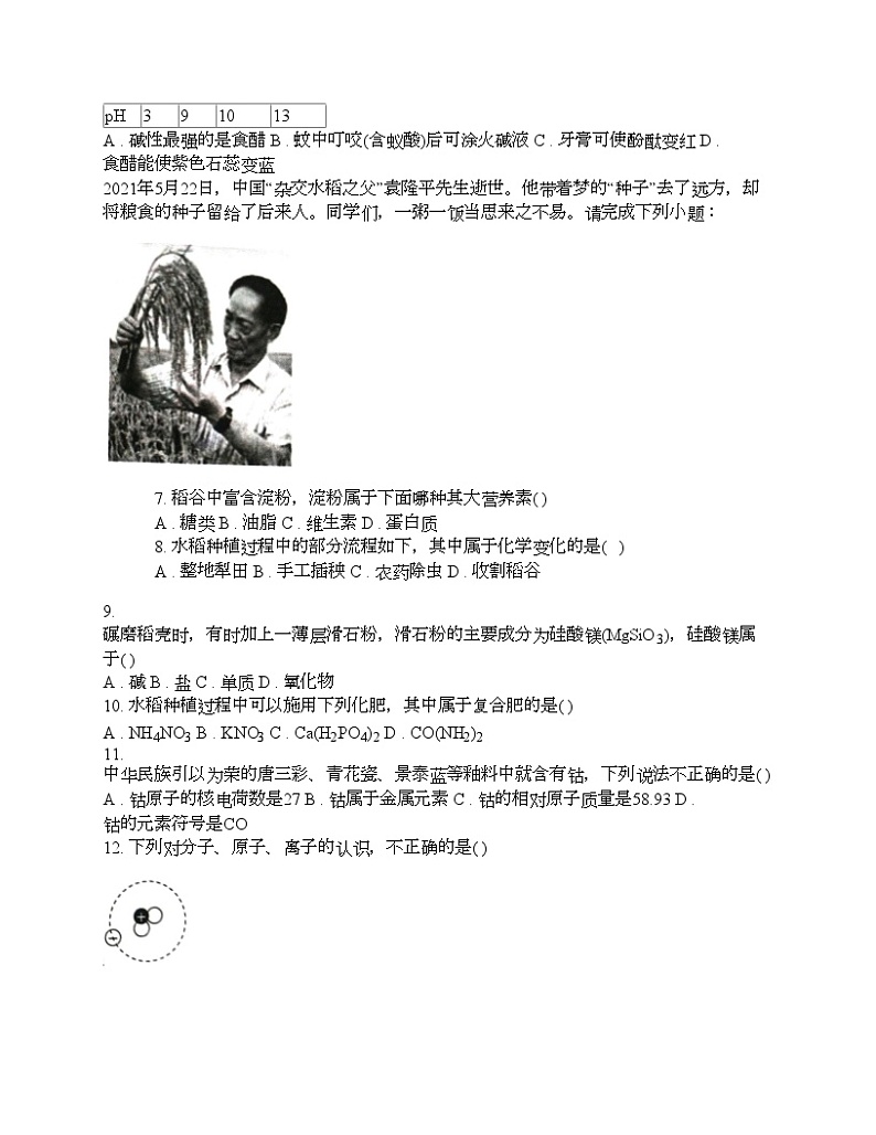 广东省肇庆市2024年中考化学一模试题第2页
