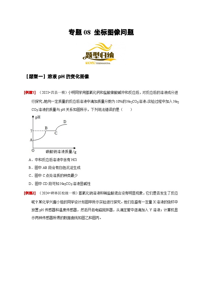 2024年中考化学二轮专项复习核心考点讲解与必刷题型（全国通用）-专题08 坐标图像问题（原卷版）第1页