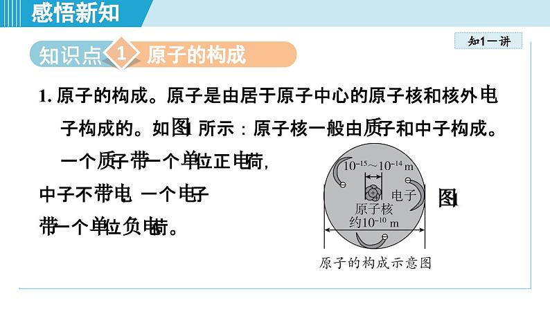 化学人教版九上知识点拨课件：3.2 原子的结构第5页