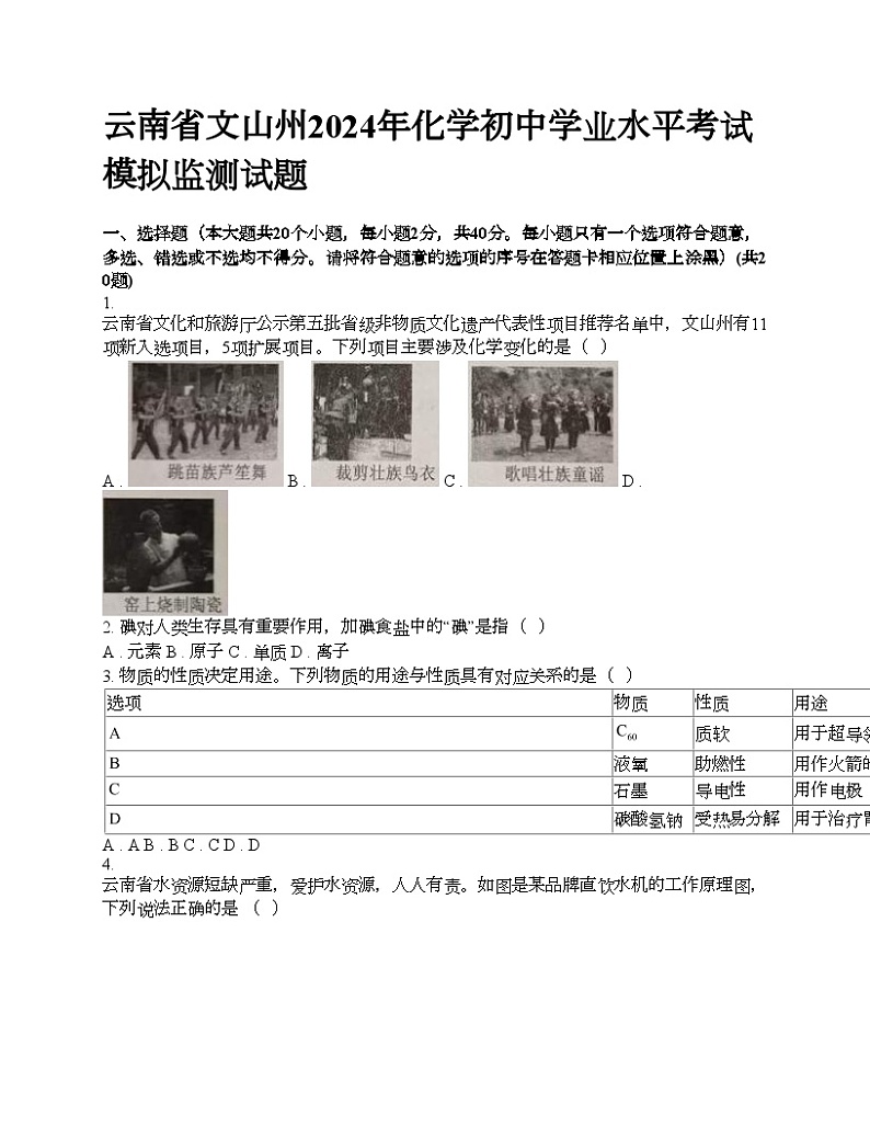 云南省文山州2024年化学初中学业水平考试模拟监测试题第1页