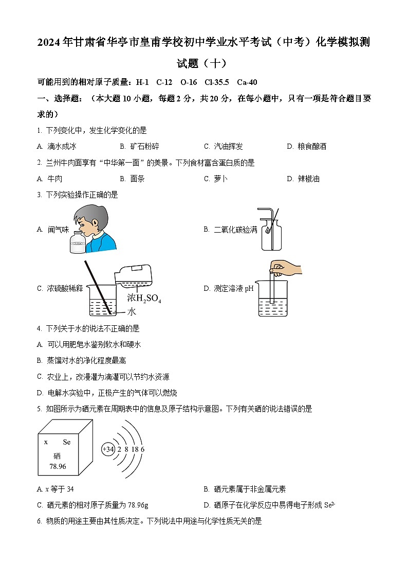 2024年甘肃省华亭市皇甫学校初中学业水平考试化学模拟测试题（十）（原卷版+解析版）01