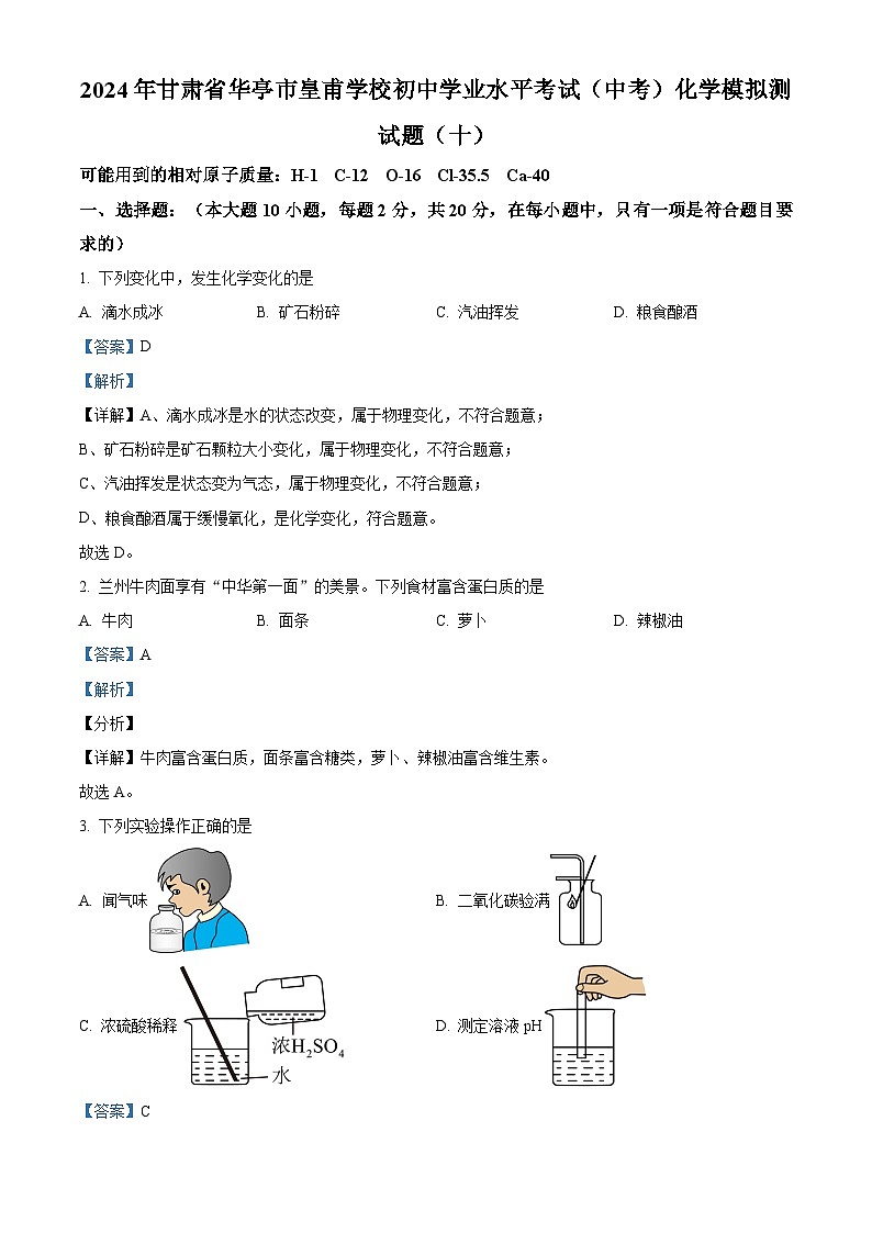 2024年甘肃省华亭市皇甫学校初中学业水平考试化学模拟测试题（十）（原卷版+解析版）01