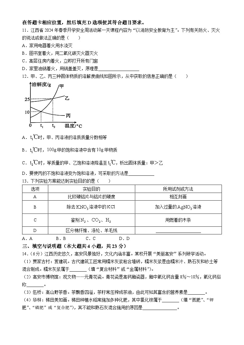 21，江西省宜春市高安市2023-2024学年九年级下学期期中质量监测化学试题第3页