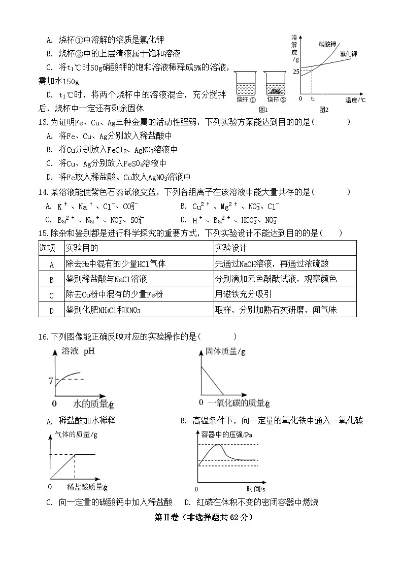 09，山东省临沂市蒙阴县第三中学2023-2024学年九年级下学期5月期中化学试题第3页