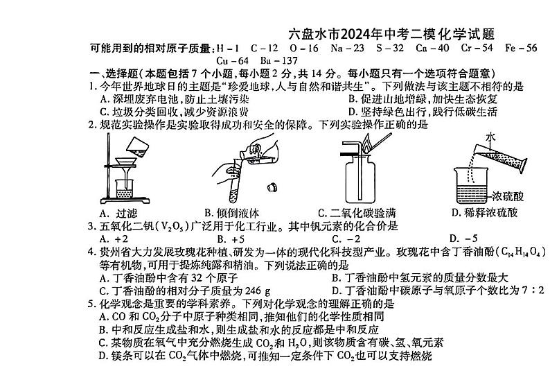 2024年贵州省六盘水市中考二模化学试题01