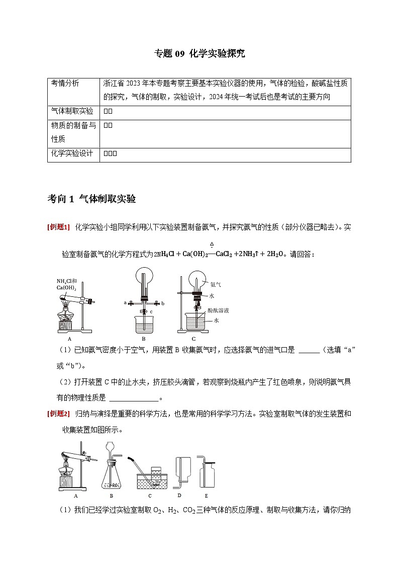 专题09 化学实验探究（原卷版）第1页