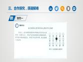 人教版化学九年级上册（公开课）课件：3.3 元素（第2课时）