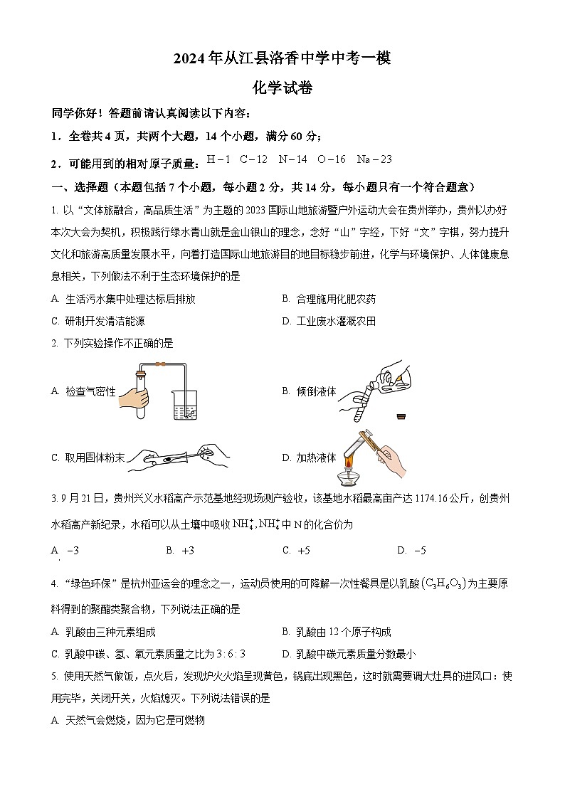 2024年贵州省黔东南州从江县洛香镇初级中学中考一模化学试题（原卷版+解析版）01
