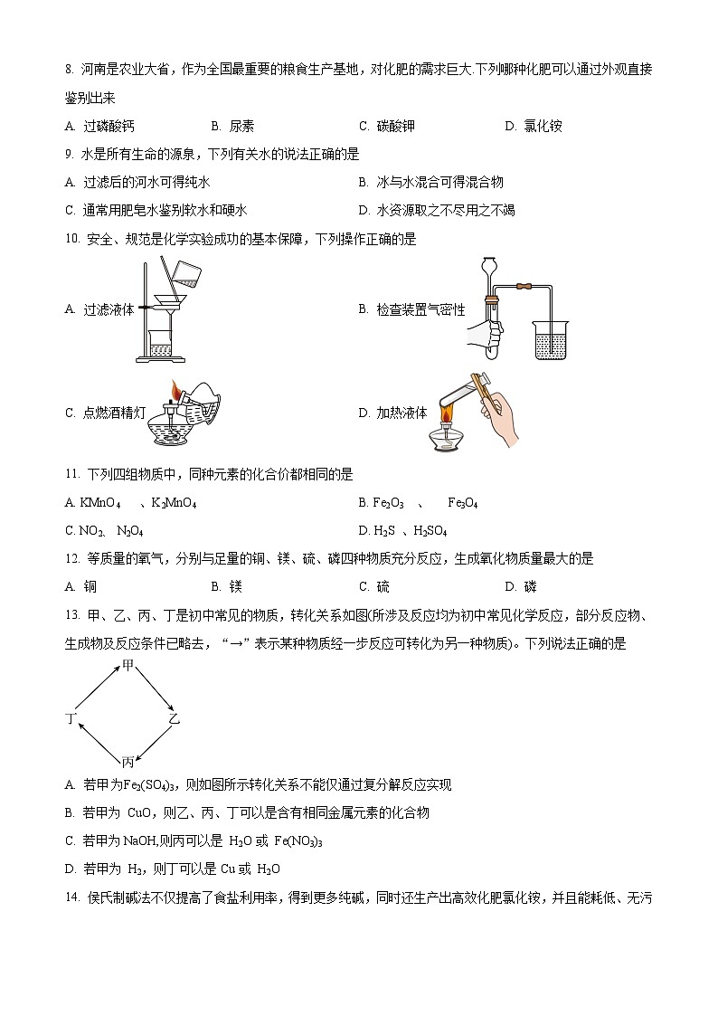 2024年河南省周口市郸城县二校中考二模化学试题（原卷版）第2页