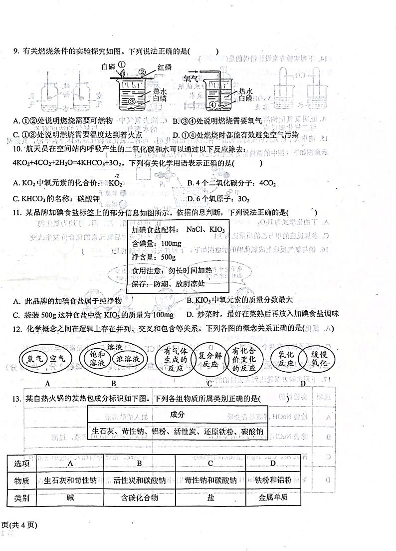 2024年山东省青岛市即墨区中考模化学试题02