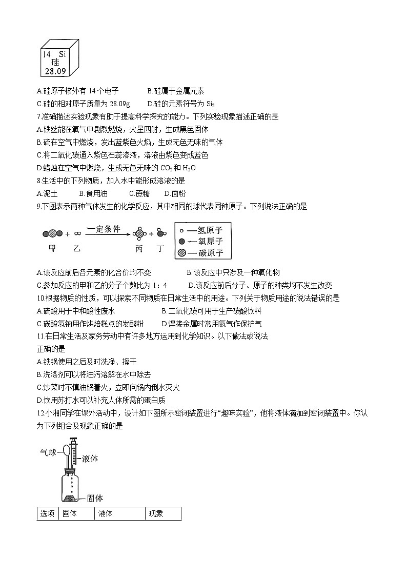湖南省益阳市资阳区资阳区2023-2024学年九年级下学期4月期中化学试题(无答案)第2页